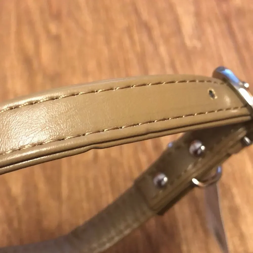 Martha Stewart Tan and Silver Leather Buckle Dog Collar Size 16